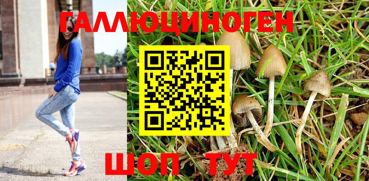 Галлюциногенные грибы Psilocybe  Вход с VPN  Клин  Галлюциногенные грибы Cubensis 